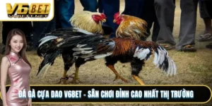 Đá Gà Cựa Dao
