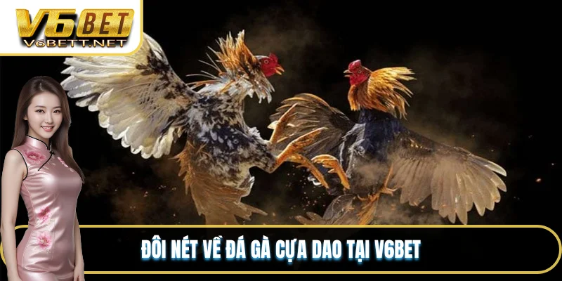 Đá Gà Cựa Dao V6BET - Sân Chơi Đỉnh Cao Nhất Thị Trường 2 Đôi nét về đá gà cựa dao tại V6BET