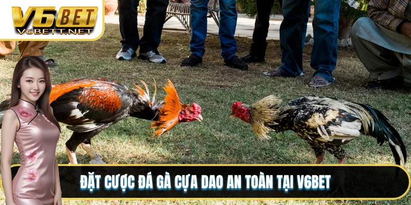 Đá Gà Cựa Dao V6BET - Sân Chơi Đỉnh Cao Nhất Thị Trường 4 Đặt cược đá gà cựa dao an toàn tại V6BET