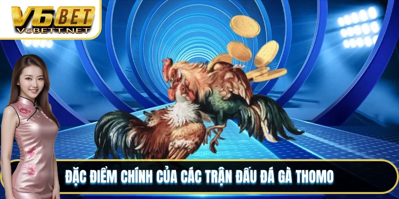 Đặc điểm chính của các trận đấu đá gà Thomo