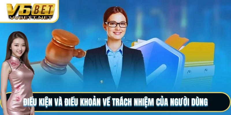 Điều kiện và điều khoản về trách nhiệm của người dùng
